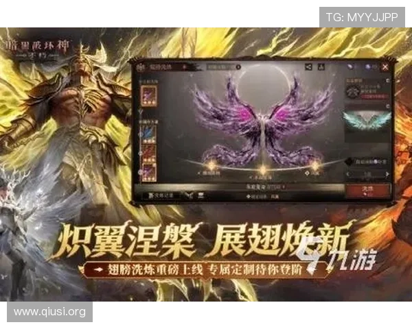 如何快速找到斗球官网入口，详细步骤指导助你轻松进入游戏世界